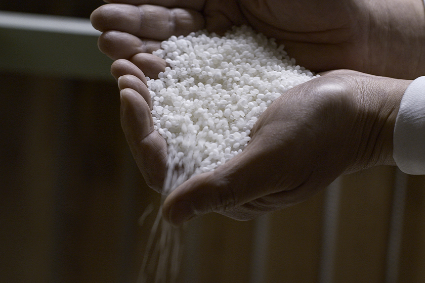 我们自己开发的酿酒米种